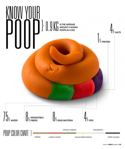 poop-facts-infographic-640x768